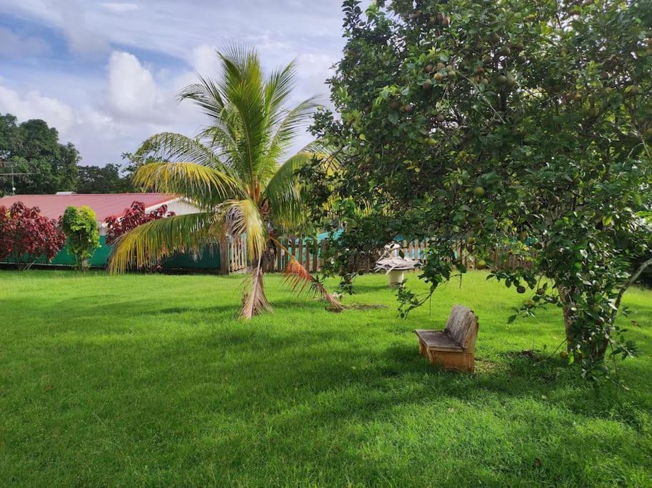 Villa Familiale Avec Piscine Le Marin Dış mekan fotoğraf